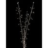 Celebrations LED Warm White 38 in. Lighted Branches Accessory MICBWTWIG38WWA
